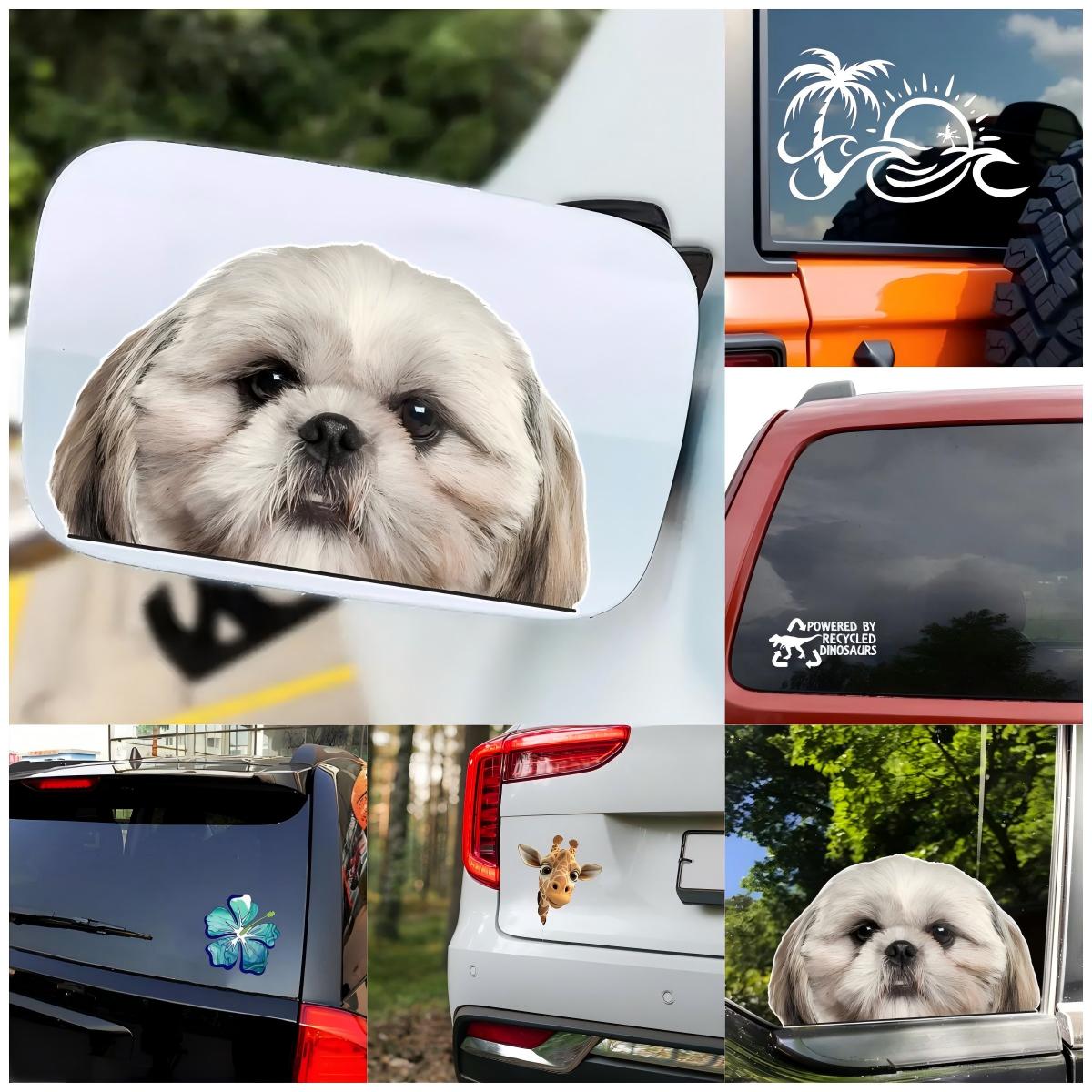 Autocollant de fenêtre en viny - Laptop Accessories To Have avis et prix